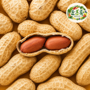 [오초록] 영양가득 국내산 햇 피땅콩 500g/1kg/2kg/3kg