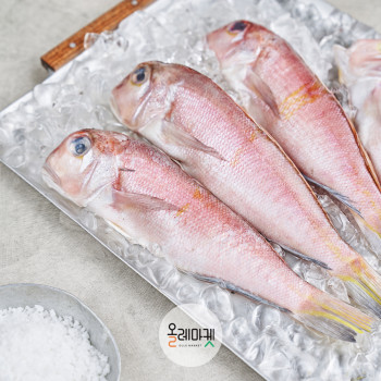 제주 손질 통옥돔 5미 (100g/120g 선택)