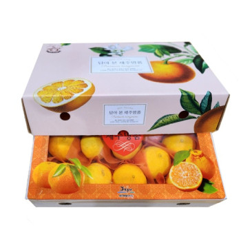 [제주팜] 고당도 제주 황금향  2.5kg/4.5kg 선물용