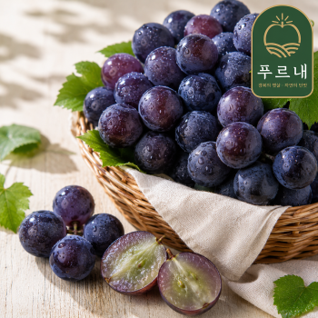[푸르내] 산지직송! 국내산 고당도 거봉 포도 500g/650g/2kg