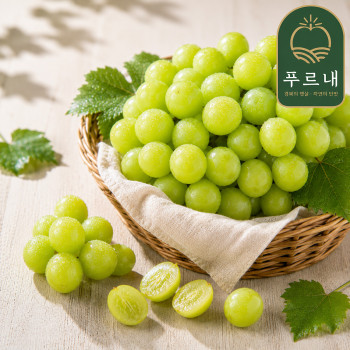 [푸르내] 국내산 하우스 샤인머스켓(15brix 이상) 500g/650g/2kg