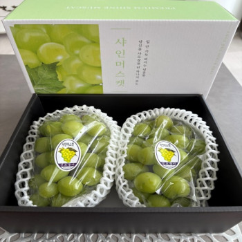 [다정농원] 김천 샤인머스켓 18브릭스이상 특품 / 선물용1.3kg/1.6kg