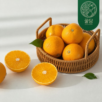 [꿀담] 새콤달콤 제주직송 황금향 1kg/1.5kg/2.5kg/4.5kg