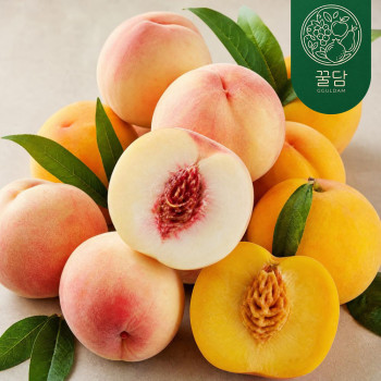 [꿀담] 달콤가득 말랑한 황도/백도 복숭아 1.25kg/1.8kg