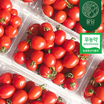 [꿀담] 친환경 농법! 무농약 대추방울토마토(1-3로얄과) / 중량선택