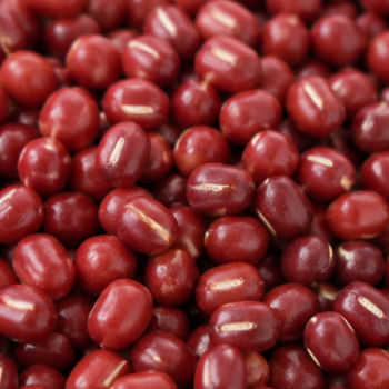 강원도 안흥 찐빵 유명산지 팥(적두) / (500g, 1kg, 2kg)