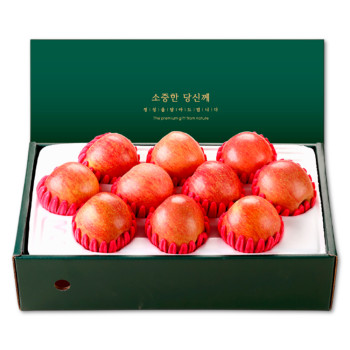 [위프레시] 품격1호 사과 9-10과 2.5kg