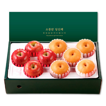 [위프레시] 품격2호 사과4과+배5과 3.5kg