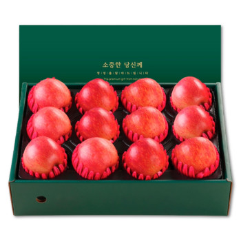 [위프레시] 명품10호 사과12-13과 5kg(제수용)