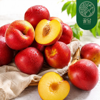 [꿀담] 아삭달콤 추희자두 500g/1kg/2kg