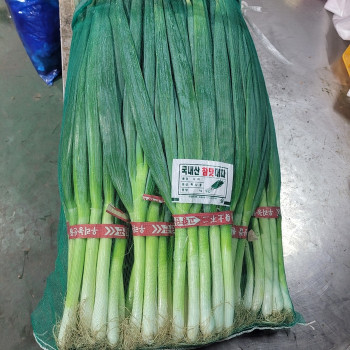 [한결스토어]의 흙대파(특) 3단 3kg 내외