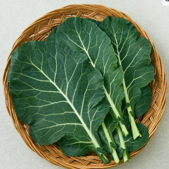 [한결스토어]의 쌈케일 (특) 2kg