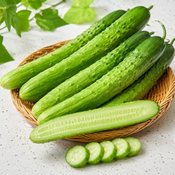 [경매직송] 영양만점 국내산 백다다기 오이 특품 2kg/4kg