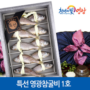 [프리미어-漁] 특선 영광참굴비 1호 선물세트