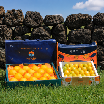 [2026 추석]천하일품 제주 황금향, 하우스 감귤 맛보기 가정용, 선물세트
