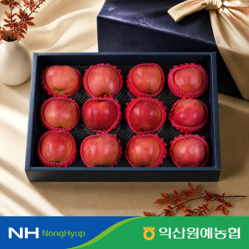 [익산원예농협] 명절 사과 선물세트 홍로사과 5kg