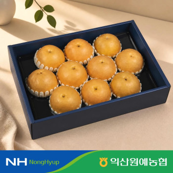 [익산원예농협] 명절 배 선물세트 신고배 5kg