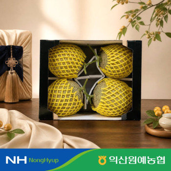 [익산원예농협] 명절 머스크멜론 선물세트 2입 4입