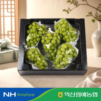 [익산원예농협] 명절 샤인머스켓 선물세트 특품 2kg 4kg