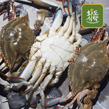 [화도식탁] 신진도 A급 급냉 절단손질꽃게 1kg-5kg