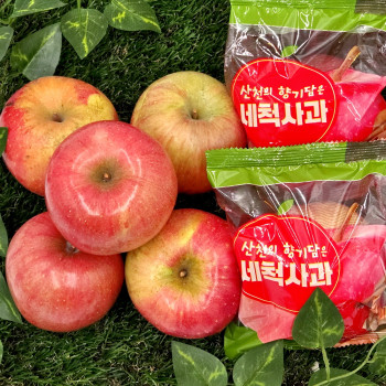 [향기담은] 국내산 26년산 햇 고당도 세척 꿀홍로 2kg/3kg/5kg (정품)
