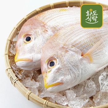 [화도식탁] 제주 자연산 손질 꽃돔(황돔) 1kg/2kg