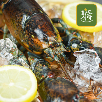 [화도식탁] 우리집 홈파티 캐나다 활 랍스터 500g-2.5kg