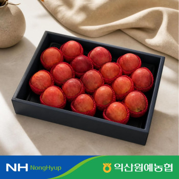 (농할) [익산원예농협] 26년 추석맞이 홍로사과 특품 5kg(17-19과) 선물세트