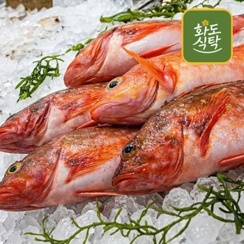 [화도식탁] 자연산 생물손질 삼뱅이,쏨뱅이 500g/1kg (매운탕/구이용)