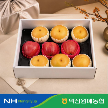 [익산원예농협] 26년 추석맞이 혼합  4.5kg내외(배6과,사과3과) 선물세트
