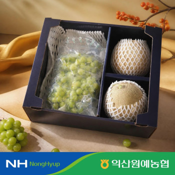 (농할) [익산원예농협] 26년 추석맞이 혼합  5kg내외(멜론2수+샤인2kg) 선물세트