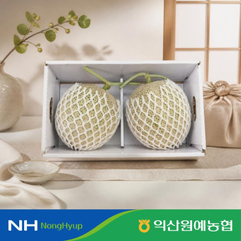 (농할) [익산원예농협] 26년 추석맞이 머스크멜론 선물세트 2입(5.2kg 내외)/4입(8kg 내외)