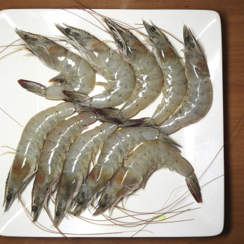 탱글탱글 국산 활흰다리새우 (500g/1kg)
