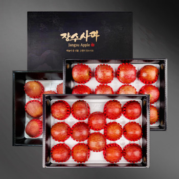 [농협공판장] 정성드린 프리미엄 장수사과세트 3종 5kg(19과내/16과내/13과내)