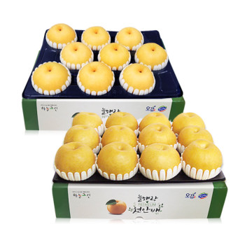 [농협공판장] 정성드린 프리미엄 천안배세트 2종 7.5kg (12과내/10과내)