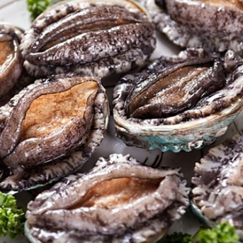[바다참전복] 완도 활 참전복 (중/소) 1kg(14-16미)/1.5kg(20-24미)/2kg(27-32미)