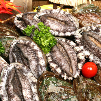 [바다참전복] 완도 활 참전복 (중/대) 1kg(11-13미)/1.5kg(16-19미)/2kg(22-26미)
