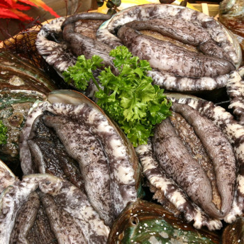 [바다참전복] 완도 활 참전복 (특/대) 1kg(8-10미)/1.5kg(12-15미)/2kg(16-20미)