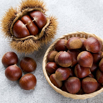 (농할) 국내산 부여 공주 햇밤 알밤 생밤 생율 1kg 2kg 3kg 5kg