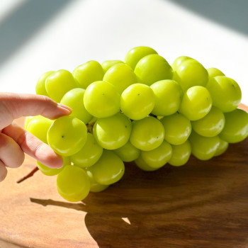 포도의 고장 영동 샤인머스켓 포도 (500g/1kg/2kg)(당찬다참)