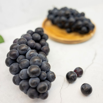 (농할) 새콤달콤 품질좋은 켐벨포도 1kg/1.5kg/2kg(당찬다참)