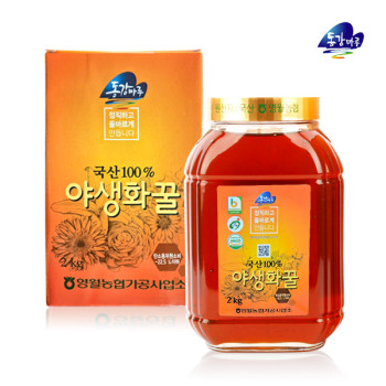 [영월농협] 동강마루 야생화 벌꿀 2kg(병)
