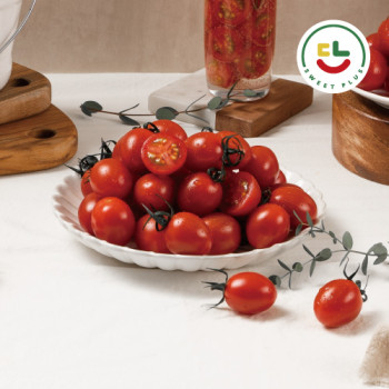 [푸르내] 다니 스테비아 방울토마토 1kg/2kg