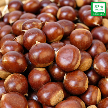 [올플] 26년 유기농 햇 옥광밤 1kg(대)/옵션선택