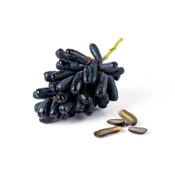 [굿파머] 블랙사파이어 포도 500g ~ 2kg