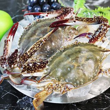 국내산 활 숫꽃게 1kg(3-6미내외)/2kg/5kg
