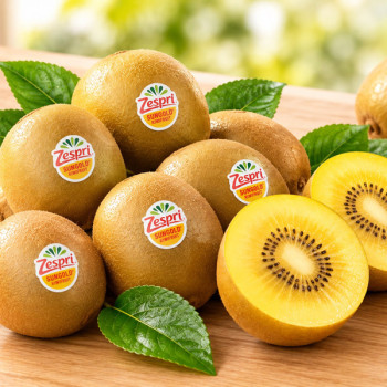 [Zespri] 제스프리 골드키위 1.1kg/6개(슈퍼점보)
