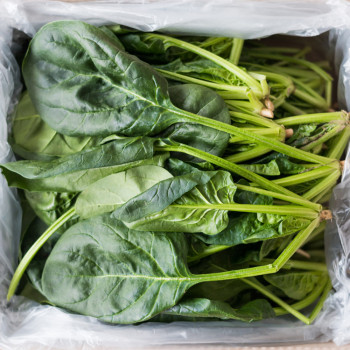 국내산 시금치 300g 500g 1kg 2kg