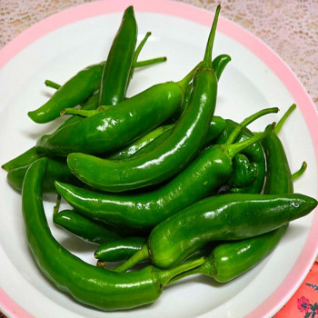 [한결스토어]의 아삭이고추 500g / 1kg