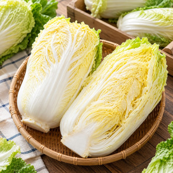 [경매직송] 국내산 알배기 배추 3kg/5kg